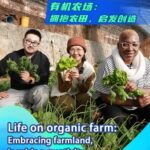 Life on Organic Farm Embracing Farmland Inspiring Creativity Video Poster 