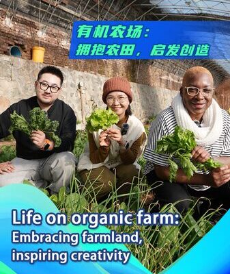 Life on Organic Farm Embracing Farmland Inspiring Creativity Video Poster 