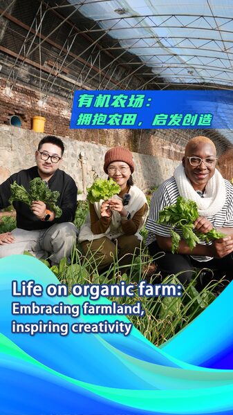 # - My News! Life on Organic Farm Embracing Farmland Inspiring Creativity Video Poster