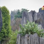 Live Discover Shenjian Stone Forest in S Chinas Guangxi Ep 4 
