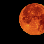 Live Dont Miss the First blood Moon Since 2022 