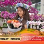 Live Enjoy a Wonderful Floral Journey at Asias Largest Flower Market Video Poster 
