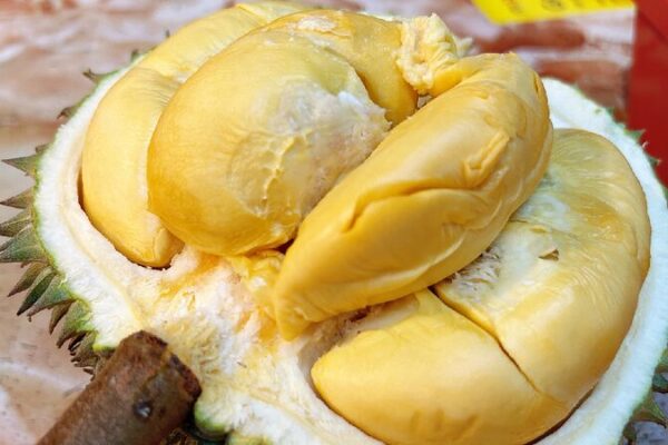Malaysian durians gain popularity in China