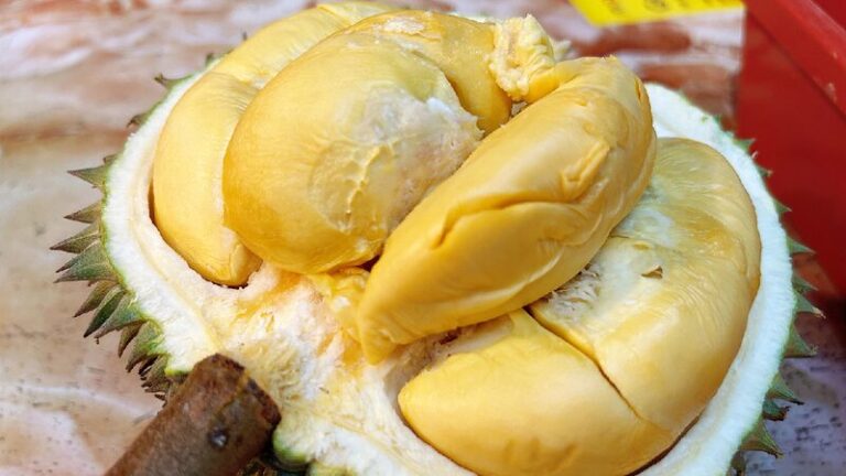 Malaysian Durians Gain Popularity in China 