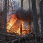 More Evacuations As Wildfires Spread in Us Carolinas 