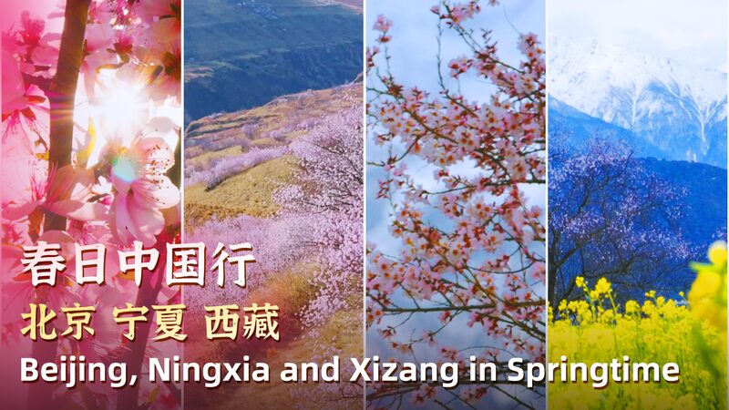 # - My News! Springtime in China Peach Blossom Wonderlands from Beijing to Xizang Video Poster