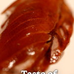 Taste of Beijing Video Poster 