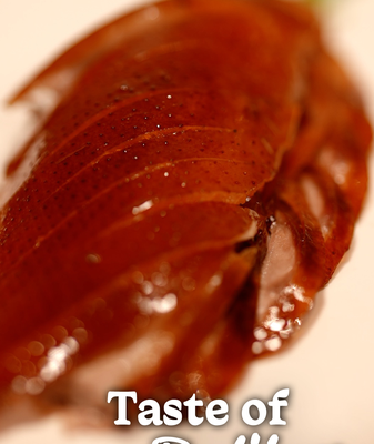 Taste of Beijing video poster