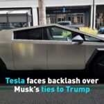 Tesla Faces Backlash over Musks Ties to Trump Video Poster 