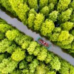 Tree planting Day Cultivates Hope for a Greener Future 