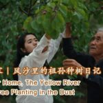 Tree Planting in the Dust a Grandfather granddaughter Story Video Poster 