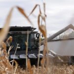 Trumps Tariffs Hurt Us Farmers Deepening Agricultural Burdens 