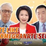 Two Sessions Spotlight Xinjiangs Resilience Under Us Sanctions Video Poster 