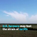 Us Farmers May Feel the Strain of Tariffs Video Poster 