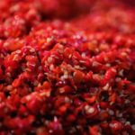 Warning These Chilies Are Too Hot to Handle 