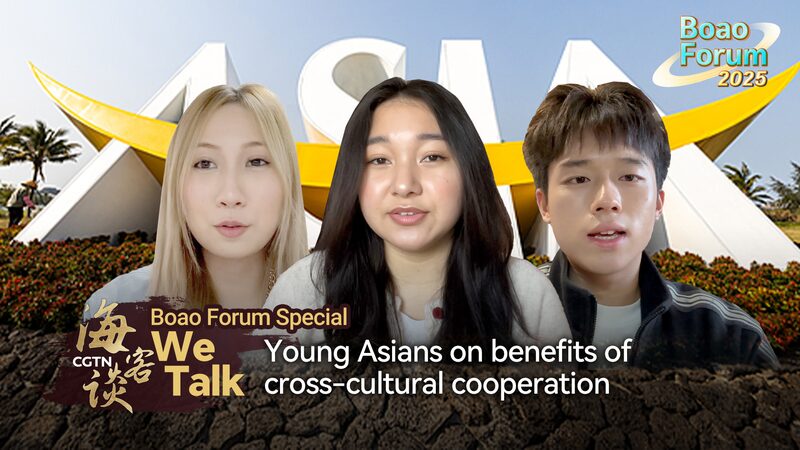 We Talk Young Asians on Benefits of Cross cultural Cooperation Video Poster 