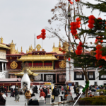 White Paper Highlights Human Rights Progress in Xizang 