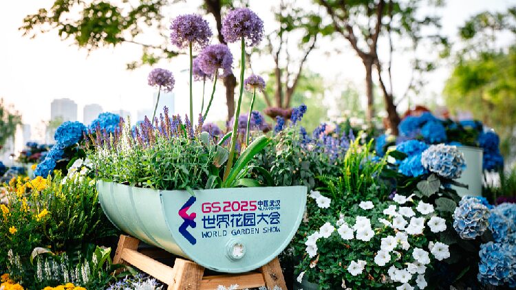 # - My News! 2025 World Garden Show to Open in Wuhan