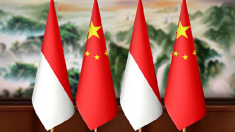 75 Years Indonesia china a New Chapter in South south Cooperation 