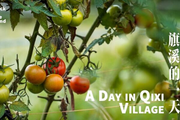 Qixi Village: Where Tradition Meets Innovation in Southern China A day in Qixi Village video poster