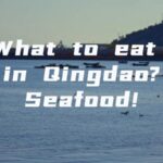 a Taste of the Sea in Qingdao Video Poster 