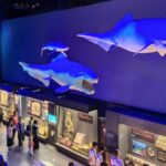 Ancient Fossils a Testament of Marine Community with Shared Future 