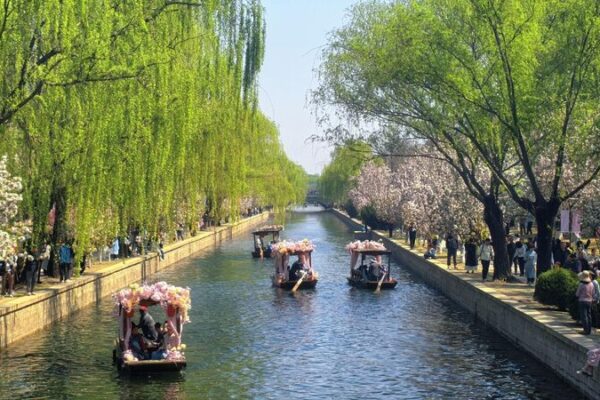Beijings Crabapple Flower Festival Welcomes Sculling Boats 