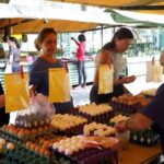 Brazils Egg Prices Soar As Exports Surge Amid Us Shortage Video Poster 