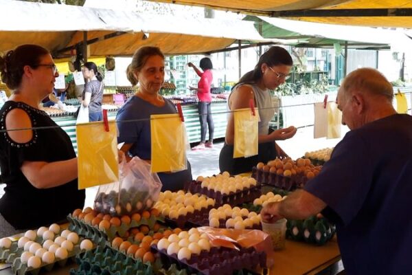Brazil’s Egg Prices Spike as U.S. Shortage Boosts Exports Brazil’s egg prices soar as exports surge amid U.S. shortage video poster