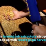 Brazils Struggles to Keep Up with Record Grain Harvest Video Poster 