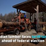 Canadian Lumber Faces Tariff Turmoil Ahead of Federal Election Video Poster 