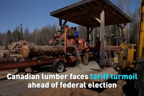 Canadian Lumber Industry Braces for U.S. Tariff Hike Amid Election Canadian lumber faces tariff turmoil ahead of federal election video poster