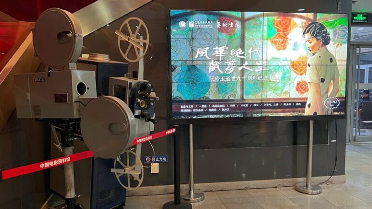 China Film Archive a Sino foreign Film Cultural Exchange Platform