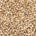 China Cultivates First generation space Highland Barley 