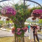 China Further Opens Up Service Sector to Counter Global Protectionism 