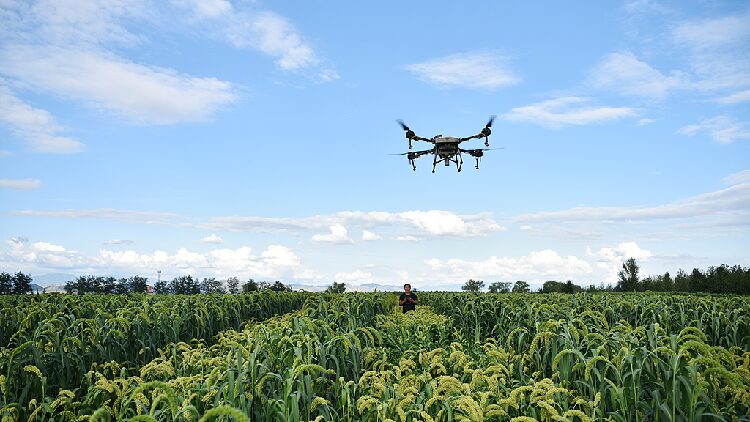 # - My News! China Leads Global Agriculture Drones Deployment Us Industry Report