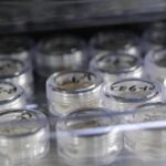 China Opens Lunar Samples to Us Global Scientists 