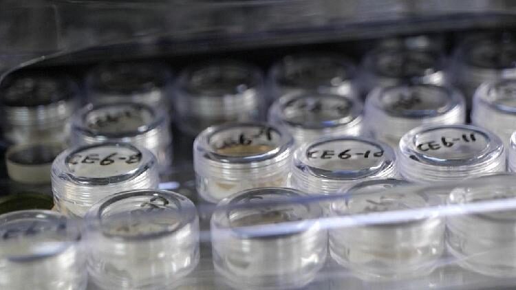 # - My News! China Opens Lunar Samples to Us Global Scientists