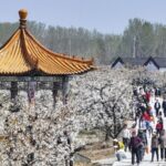 China Reports Robust Travel Figures on First Day of Qingming Holiday 