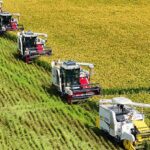 China Unveils Plan to Accelerate Agriculture Modernize Rural Areas 