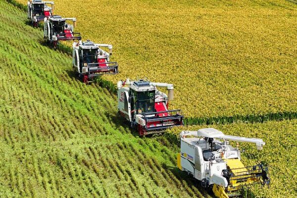 China Unveils Plan to Accelerate Agriculture Modernize Rural Areas 