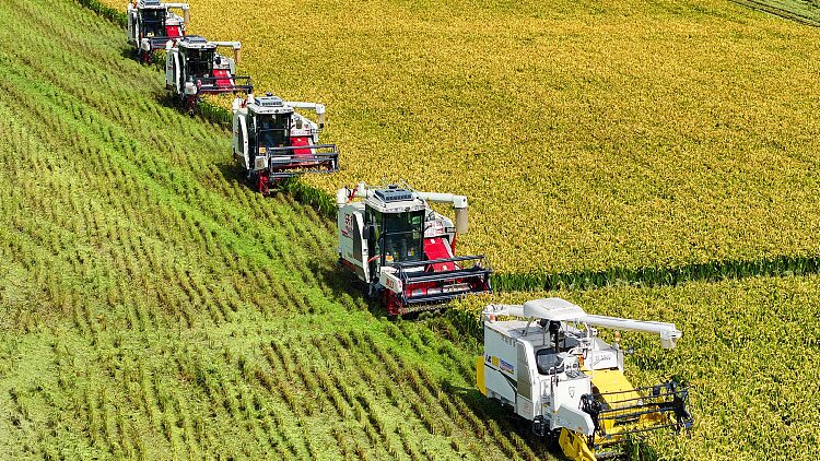 China Unveils Plan to Accelerate Agriculture Modernize Rural Areas 