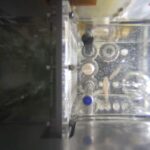 Chinas Shenzhou 20 Crew to Conduct Three New Life Science Experiments 