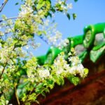 Chinas Tomb sweeping Day Blends Tech Eco tributes 