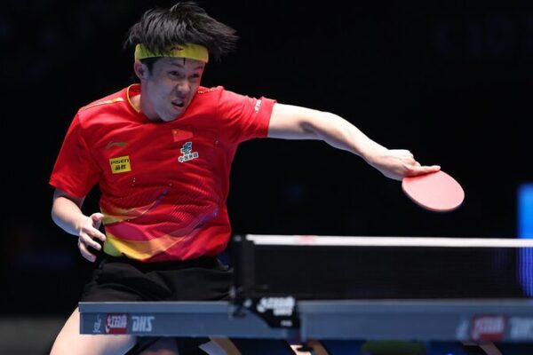 # - My News! Chinas Wang Dominates Pucar to Advance Unscathed in Ittf World Cup