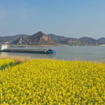 Chinas Top Political Advisor Urges Oversight on Yangtze Conservation 