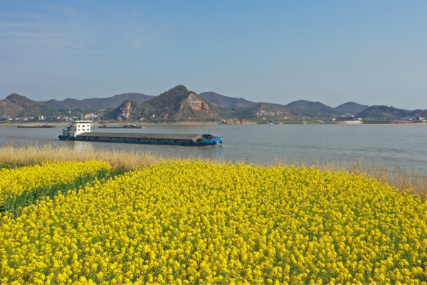 China's top political advisor urges oversight on Yangtze conservation
