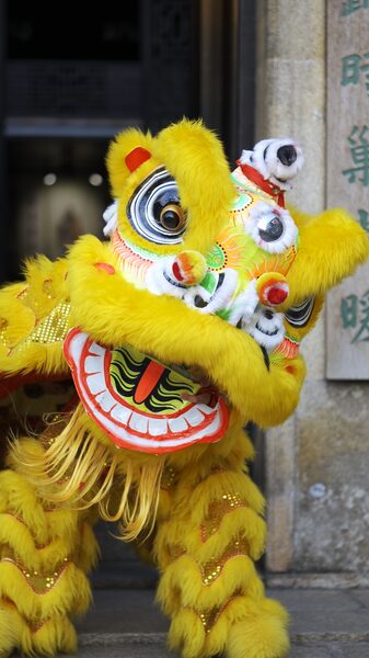 # - My News! Chinese Malaysian Lion Dancers Level Up Tradition with Insane Skills Video Poster
