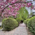Chinese and Japanese Gardens in Beijings Shuangxiu Park Video Poster 