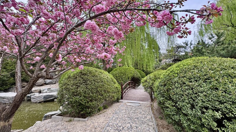 # - My News! Chinese and Japanese Gardens in Beijings Shuangxiu Park Video Poster